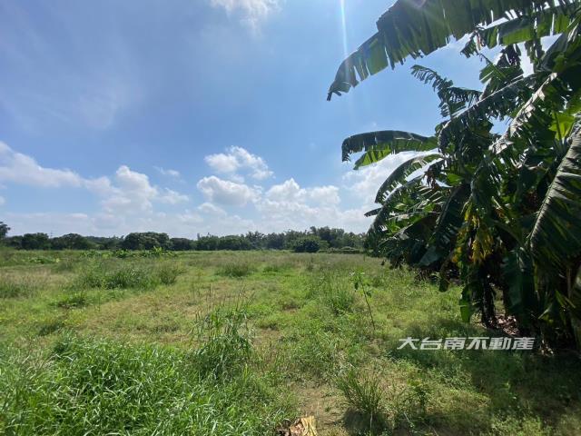 台南農地-2