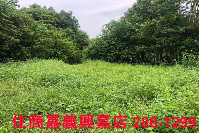 嘉義番路農地-2