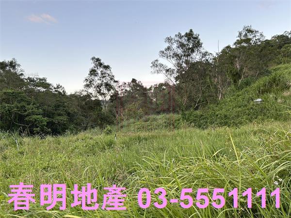 新竹竹東農地-2