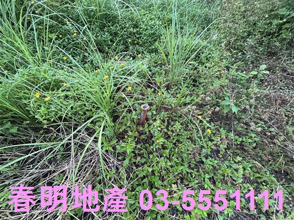 新竹竹東農地-6