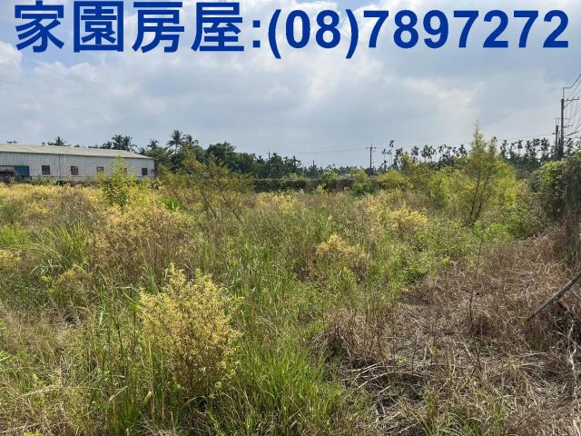 竹田農地-2