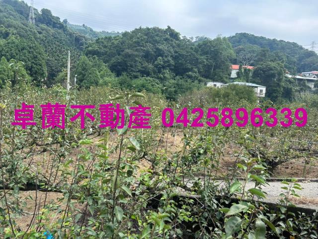 卓蘭農地-2