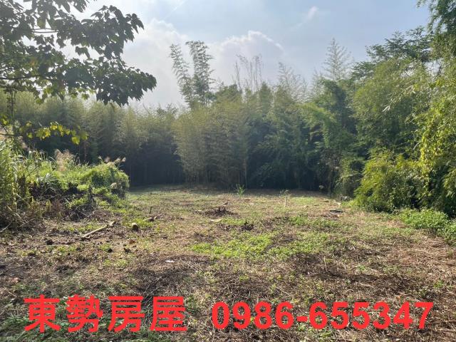 台中東勢農地-14