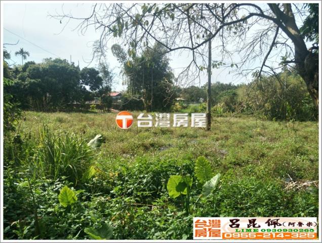 番路農地-2