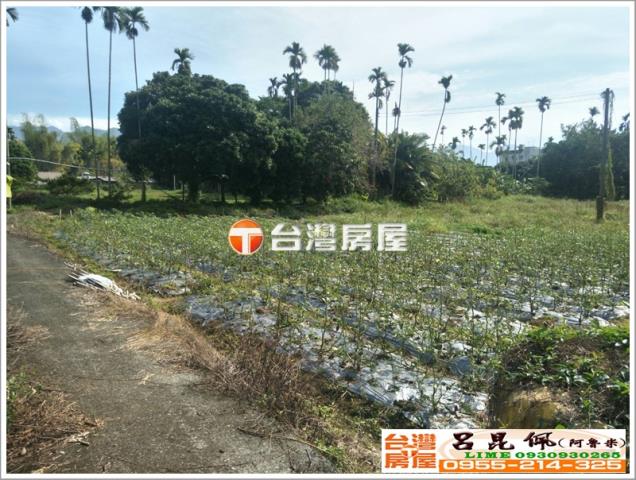 番路農地-3
