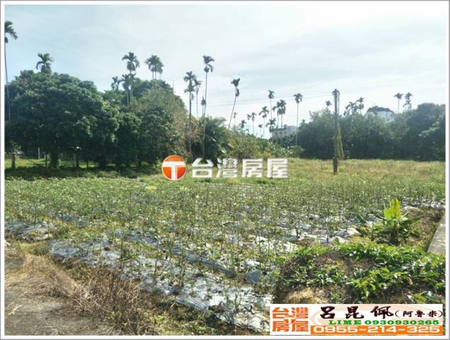 番路農地-4