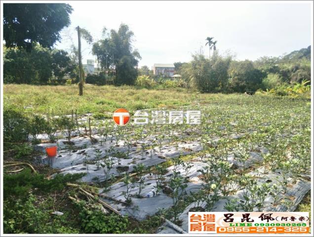 番路農地-5
