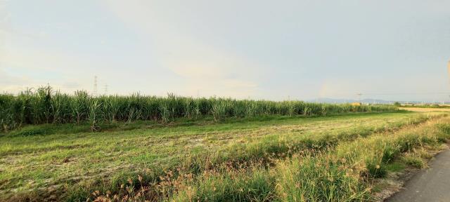 台南農地-3