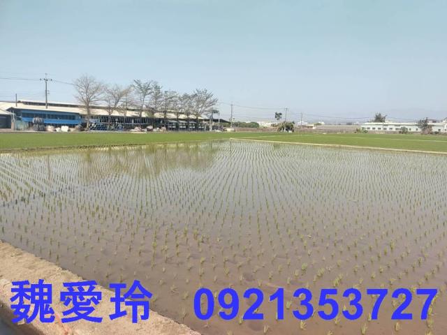 芬園農地-1