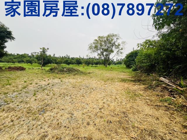 竹田農地-4