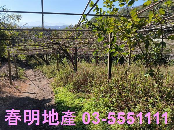 新竹新埔農地-5