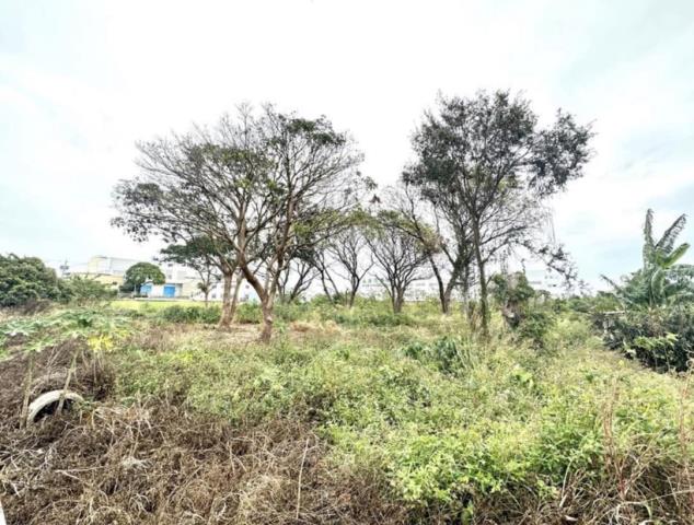 台中大雅農地-2