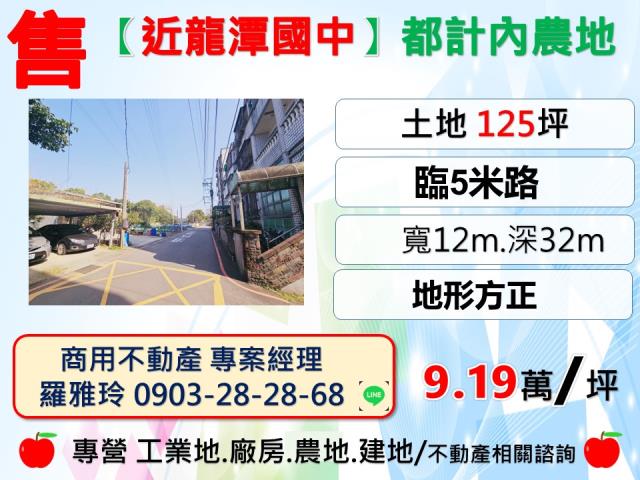 桃園龍潭農地-1