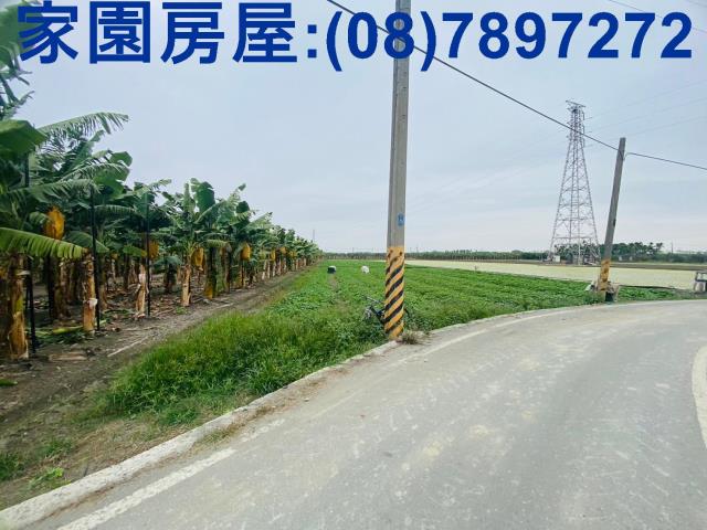 屏東新園農地-5