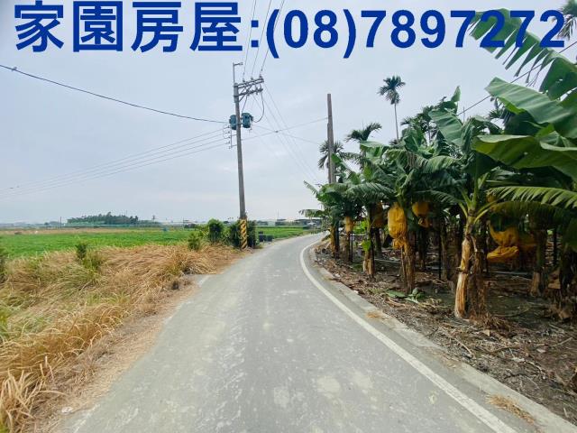 屏東新園農地-8