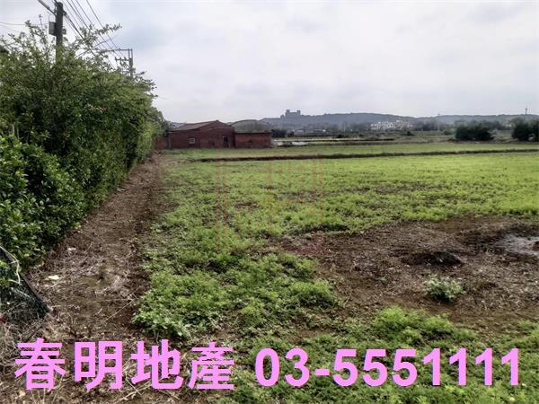 新竹新豐農地-7