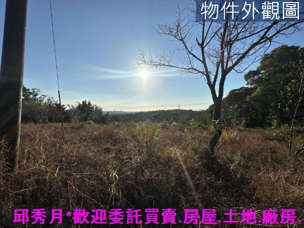 三芝農地-4