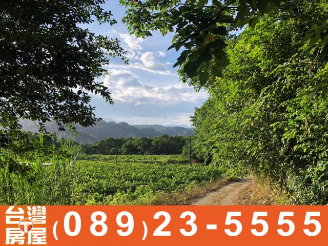 鑽石台東土地買賣