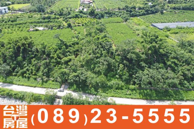 卑南農地-5