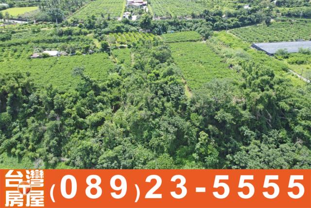 卑南農地-6