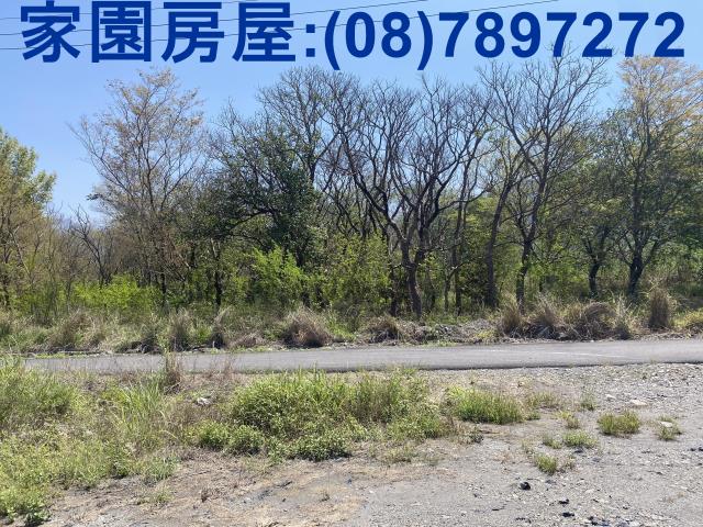 萬巒農地-2