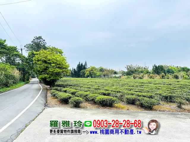龍潭農地-3
