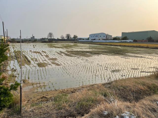 彰化埔鹽農地-4