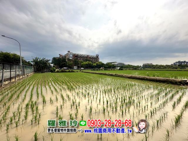 桃園桃園區農地-1