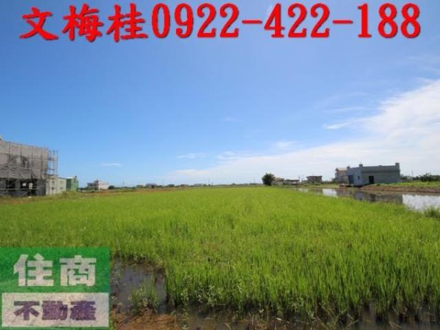 宜蘭礁溪農地-8