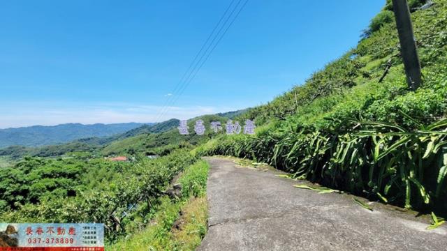 苗栗農地-5
