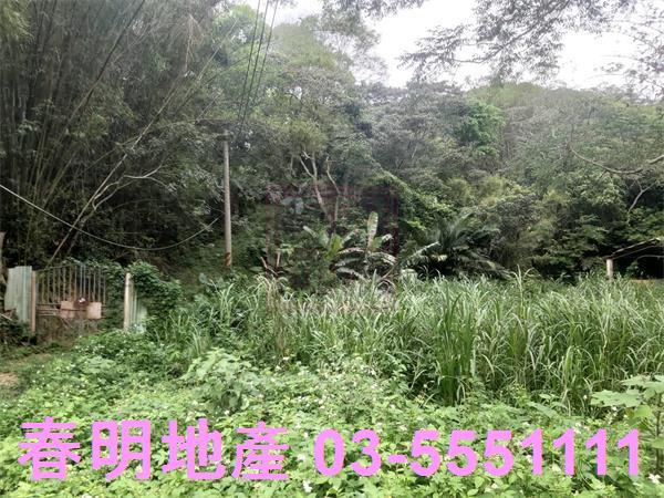 北埔農地-4