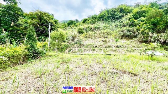 新竹橫山農地-1