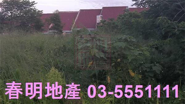 新竹香山林地-7