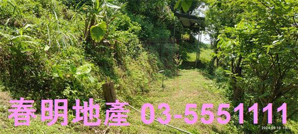 橫山農地-13