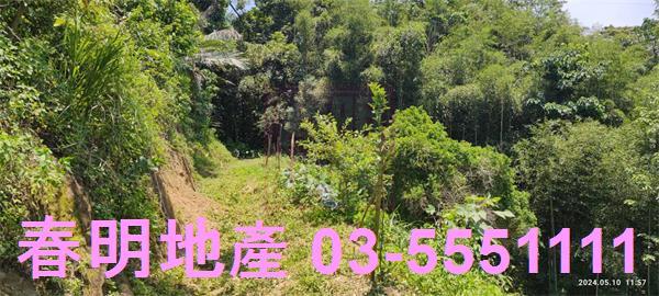 橫山農地-8