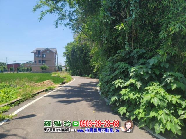 桃園新屋建地-4
