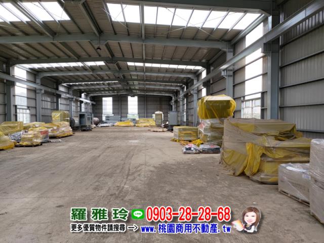桃園新屋農地-2