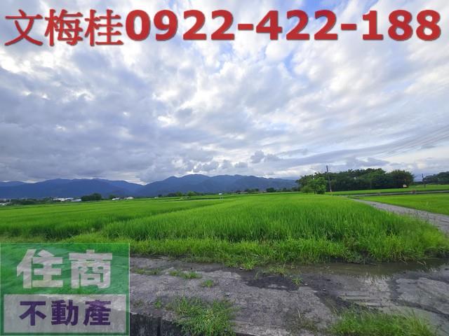 宜蘭三星農地-3