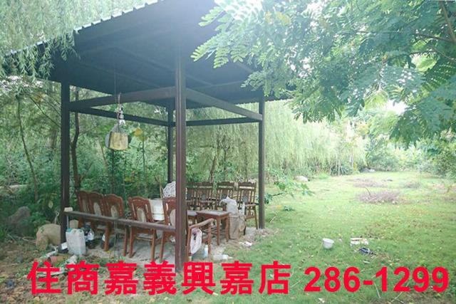 東區農地-10