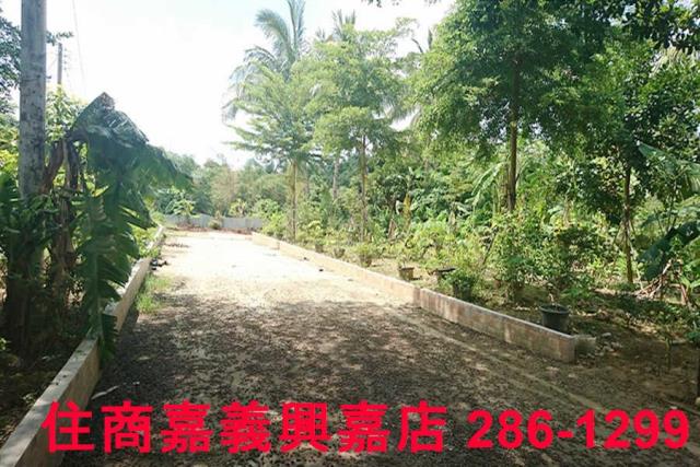 東區農地-11