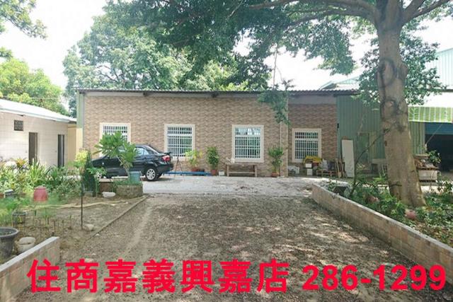 東區農地-3