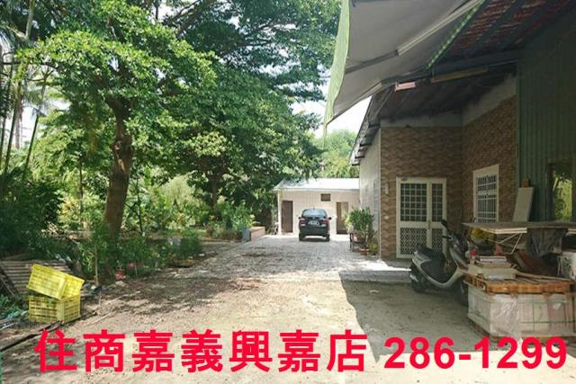 東區農地-5