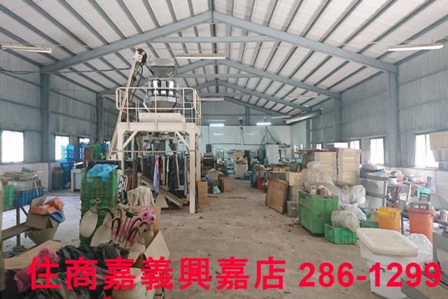 東區農地-6