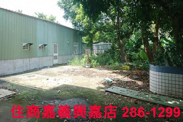 東區農地-7
