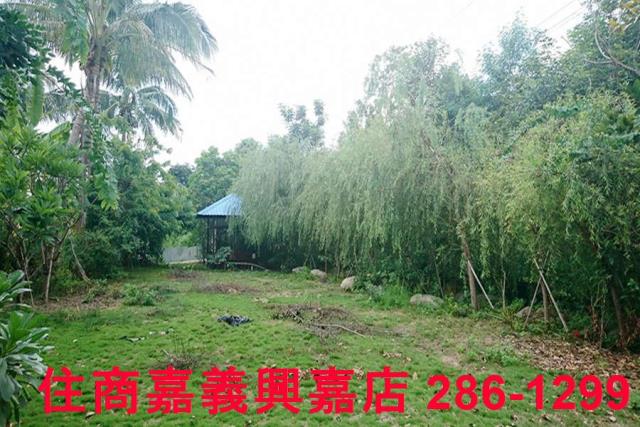 東區農地-9