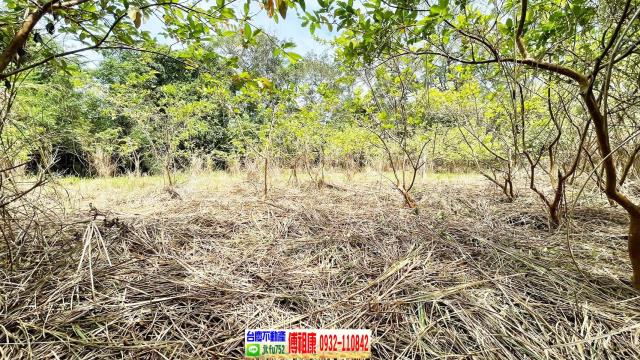 新竹農地-2