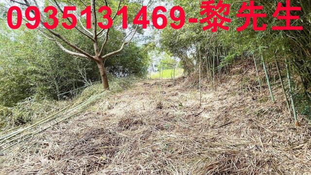 香山農地-9