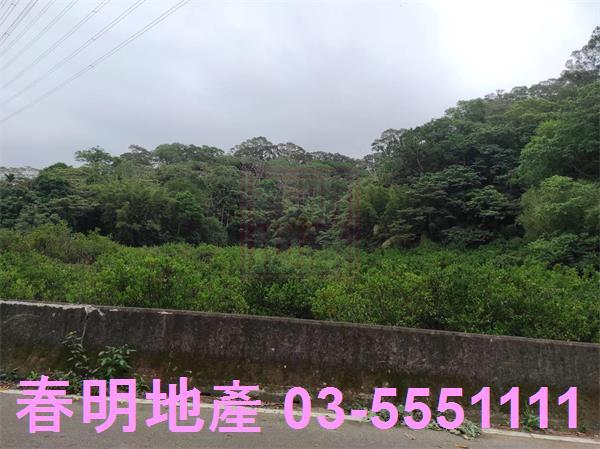 新竹農地-3