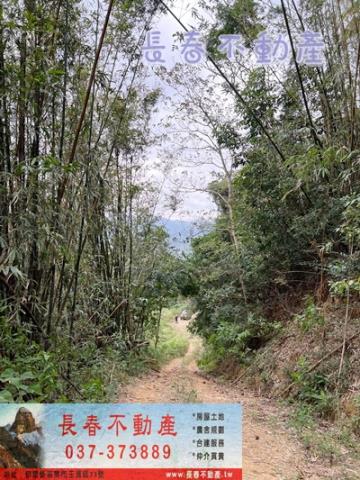 苗栗銅鑼農地-2