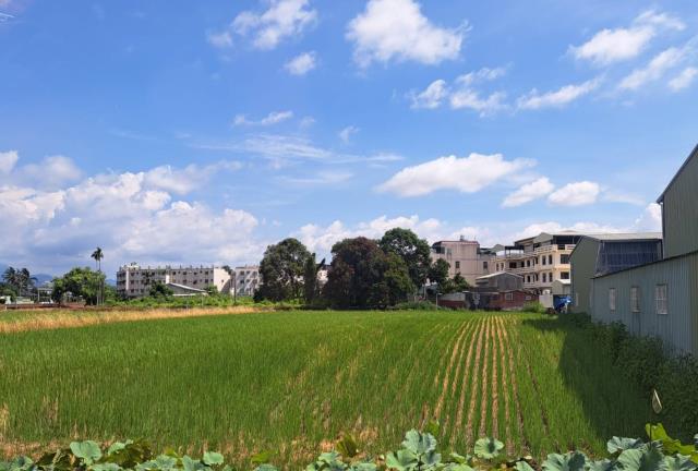 嘉義農地-3